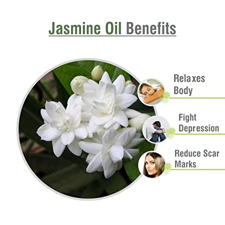 Salvia Natural Essential Oils Pure Jasmine Essential Oil